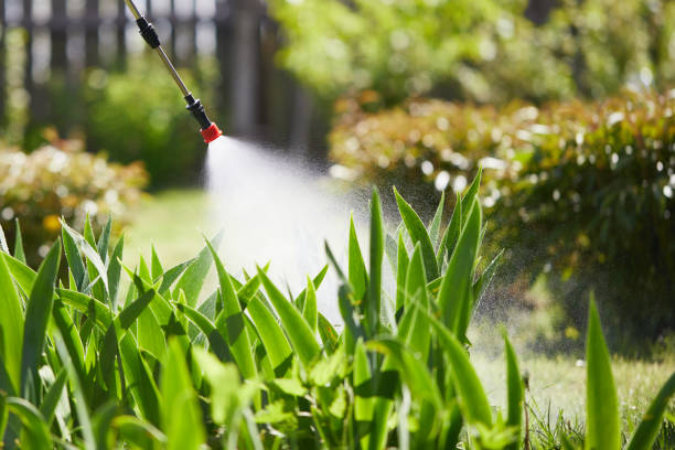 Tamper-Resistant Bait Stations for Rodents in Lake Forest Park