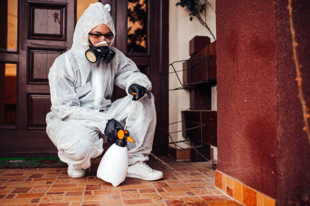Attic and Crawl Space Rodent Treatment in Lake Forest Park