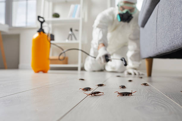 Commercial Rodent Management in Lake Forest Park